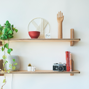 A shelf with ornaments, books and plants on