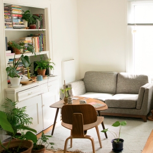 A room with a sofa, bookcase, and coffee table